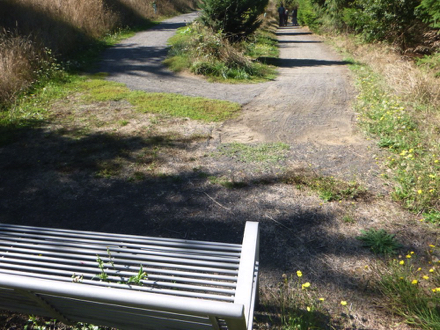The beginning of the compacted gravel year-round trail has a bench before a short steep grade
